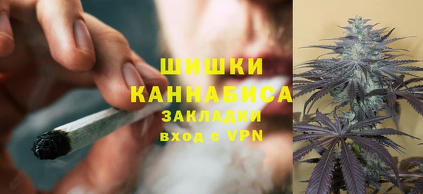 шишки Алексин