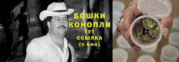 шишки Алексин