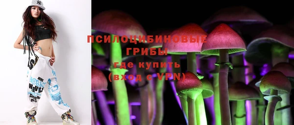 apvp Алексеевка