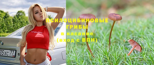 apvp Алексеевка