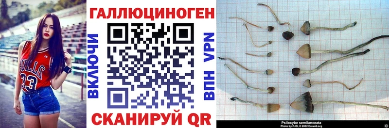 где найти наркотики Дедовск мега ССЫЛКА Галлюциногенные грибы Cubensis