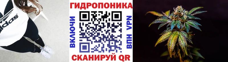 МАРИХУАНА Amnesia  MEGA как войти  Дедовск 